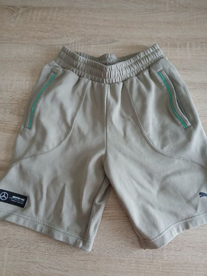 Short puma