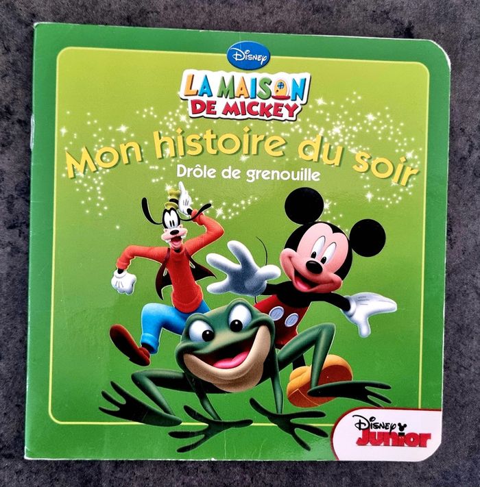 Livre Mon histoire du soir La maison de Mickey