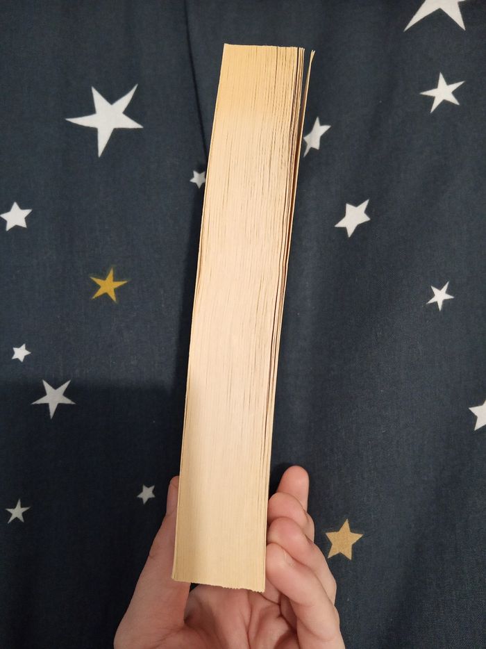 Livre (112) 📚 L'accro du shopping dit oui - photo numéro 4