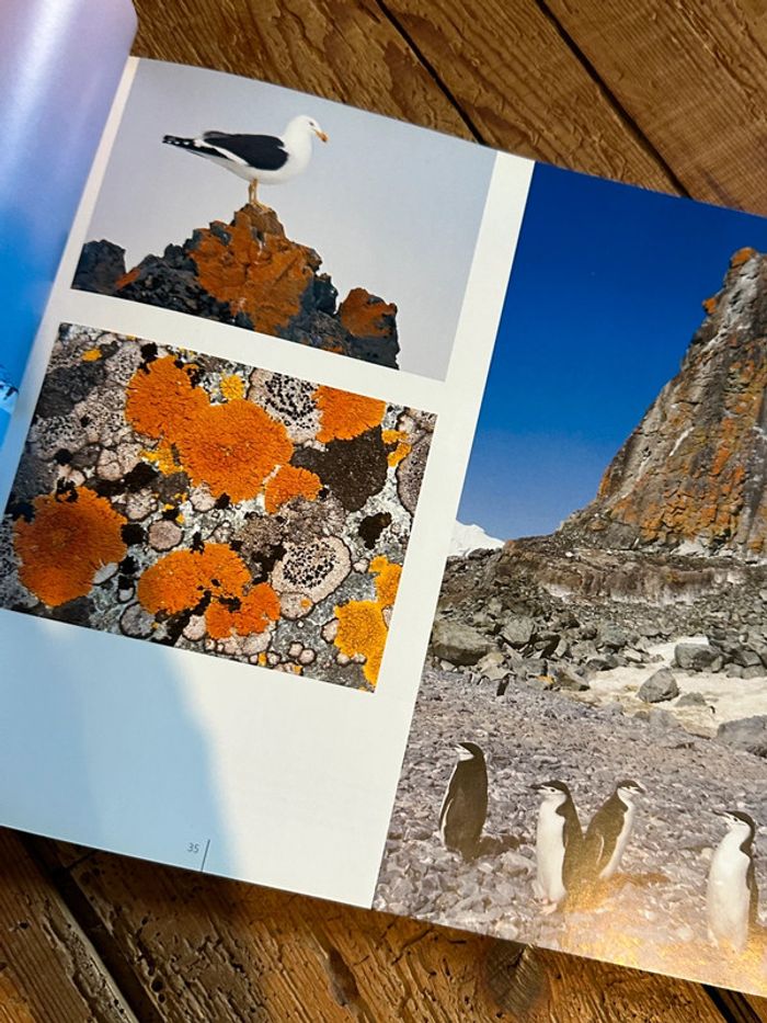 Compagnie du Ponant - Livre Voyage en Antarctique Terre de Feu Shetland du Sud beau album - photo numéro 7