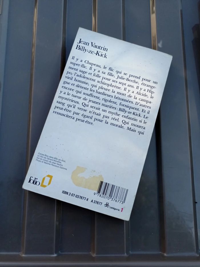 Billy Ze kick - photo numéro 2