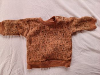 Pull chaud garçon Zeeman brun animaux 62 cm