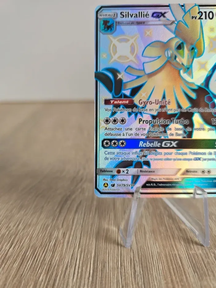 Silvallié GX SV79/SV94 - photo numéro 5