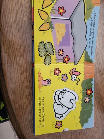 Livre magicolore