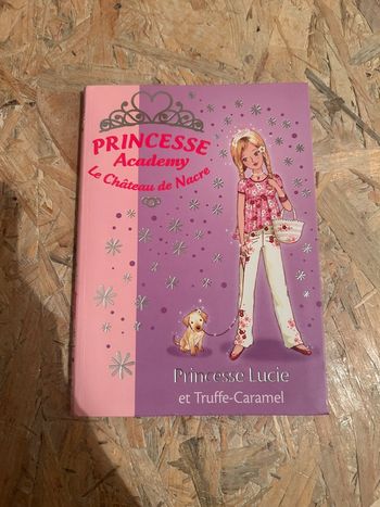 Livre princesse académy