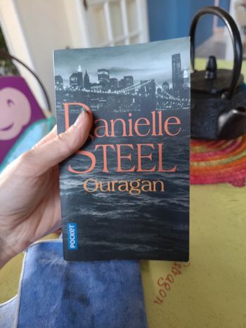 Danielle steel - ouragan