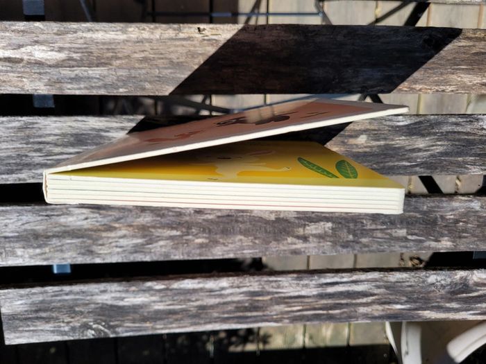 Livre tout carton Éditions Fleurus collection Petit Doux 🐿 Joue avec moi 🐻 71 - photo numéro 13