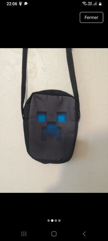 Pochette Minecraft 