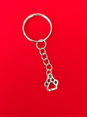 Porte clé argenté patte empreinte animal