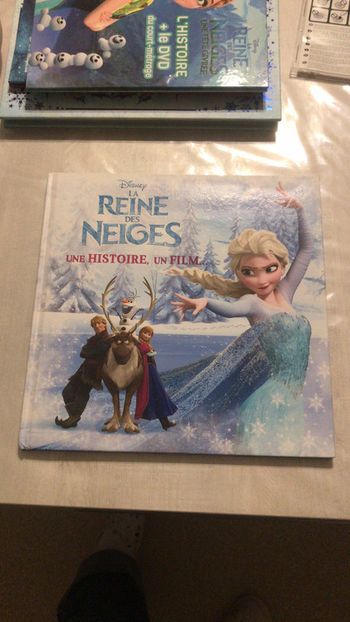 Livre Reine des neiges