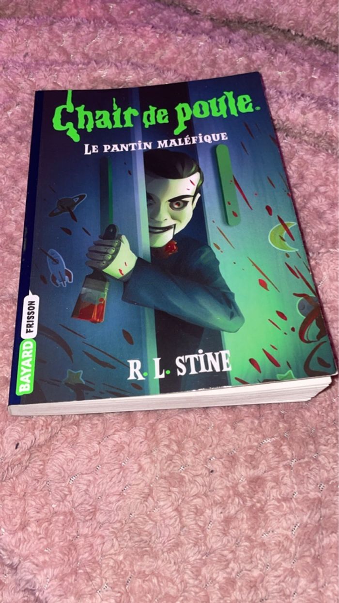 Livre chaire de poule - photo numéro 6