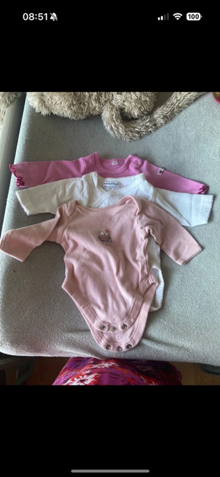 Lot 3 bodies