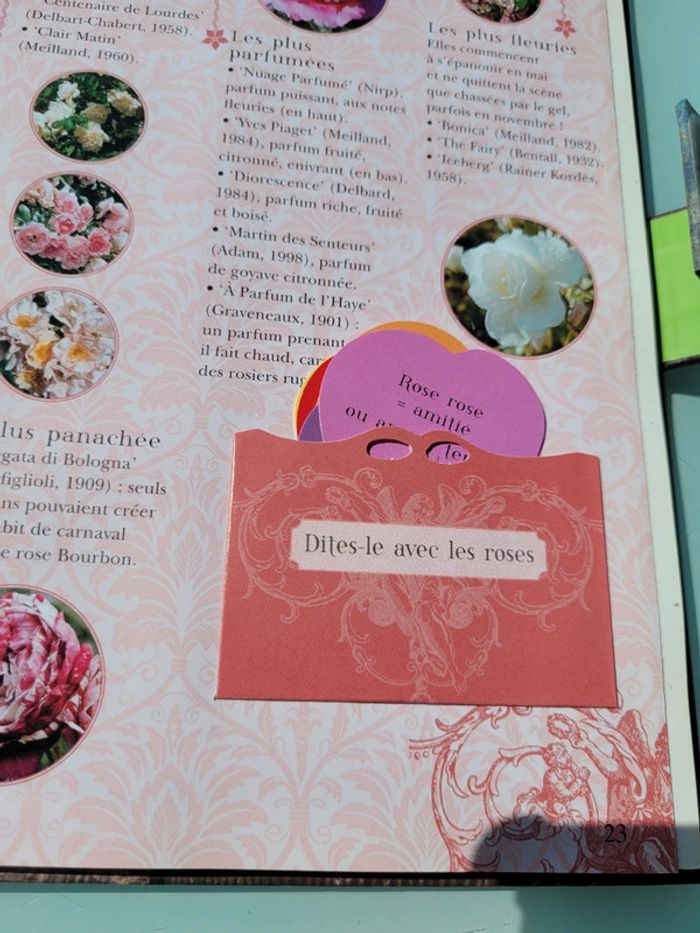 Le Carnet Jardinier, animé, Astuces et Petits secrets à cultiver 🪷 (35) - photo numéro 12
