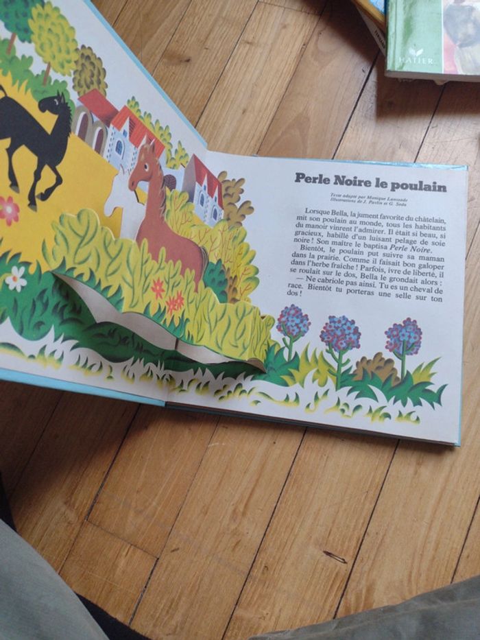 Livre pop UP. Perle noire le poulain - photo numéro 4