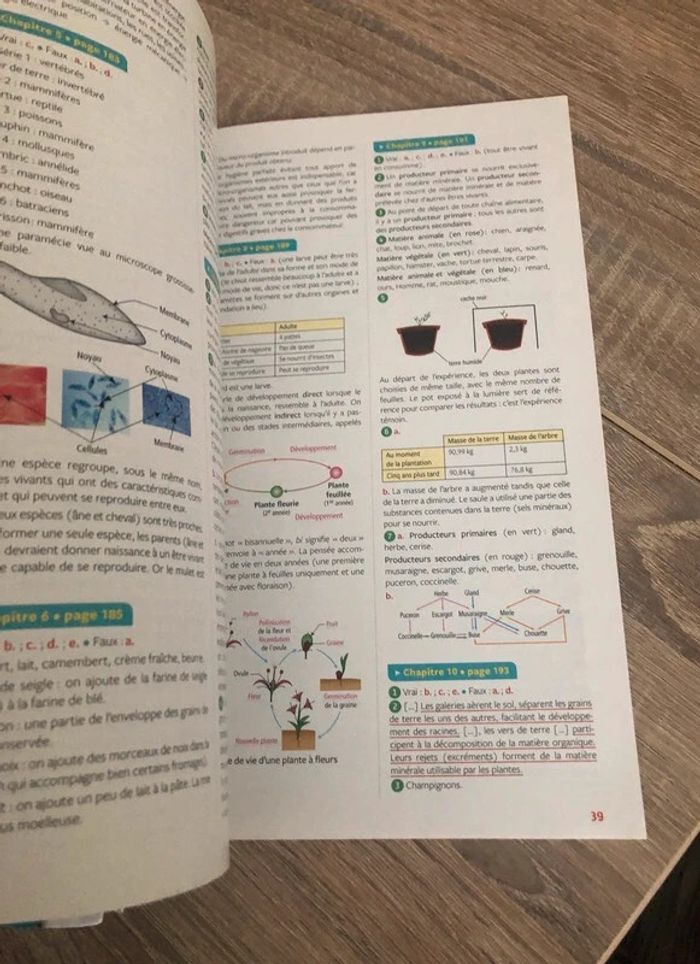 Livre tout Savoir 6ème - photo numéro 4