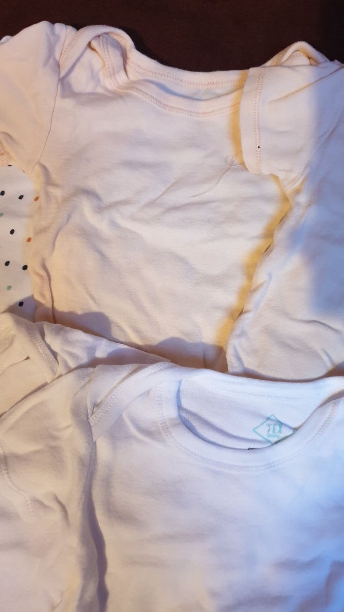 Bodies - photo numéro 4