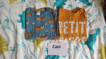 Lot t-shirts manches semi-longues 2 ans