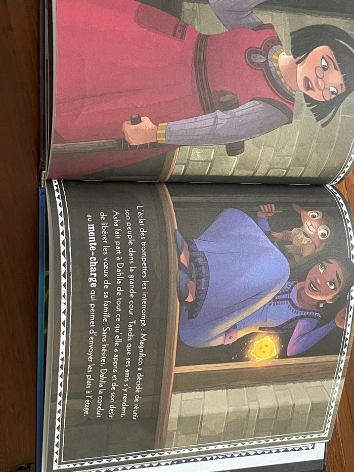 Livre wish - photo numéro 3