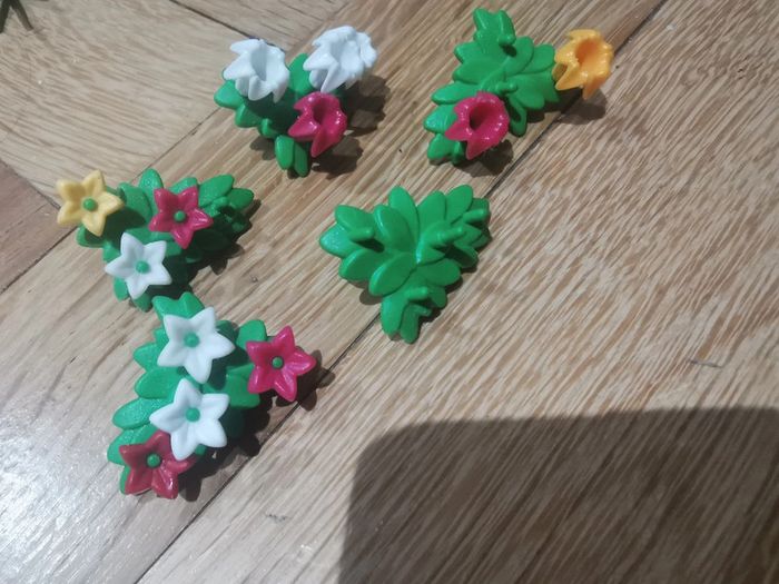 Buissons fleurs