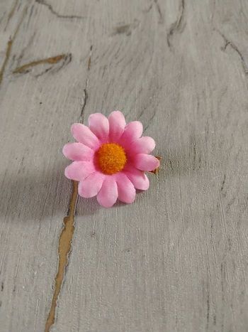 Pince à cheveux