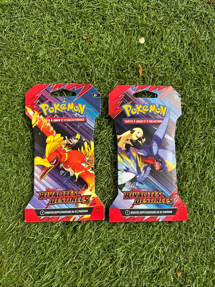 Lot de 2 boosters cartons ev10
