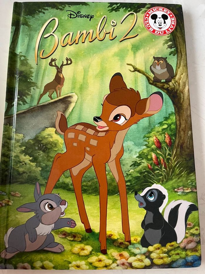 Livres Disney Hachette - photo numéro 13