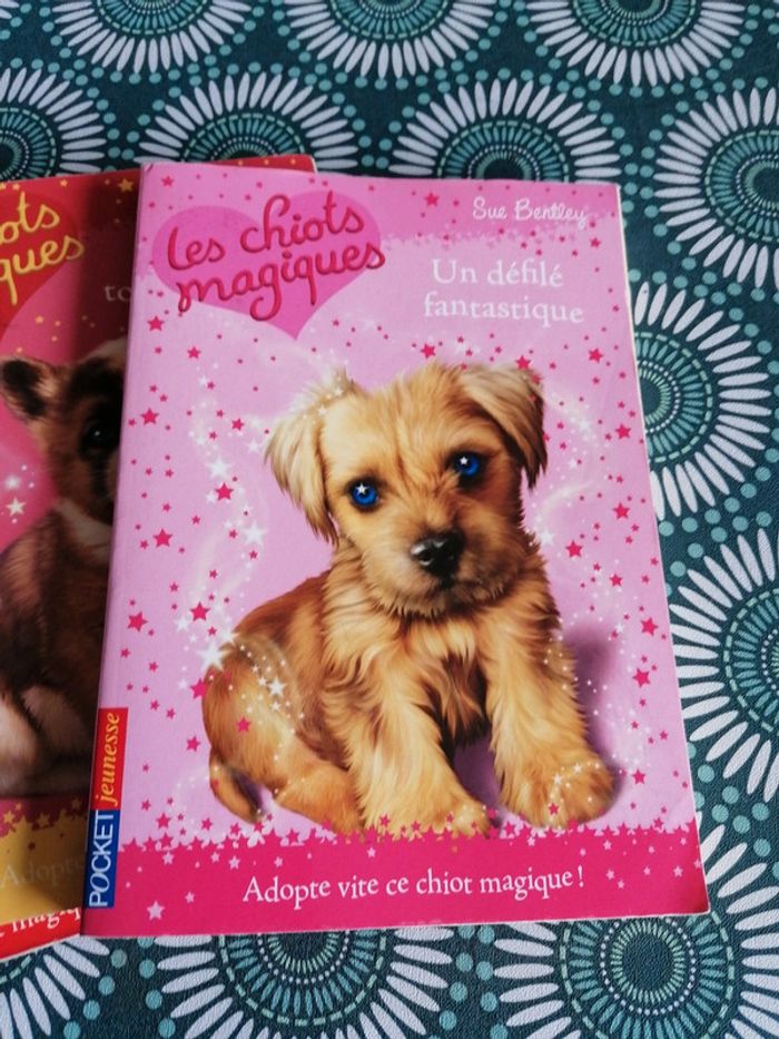 Les chiots magiques - photo numéro 2