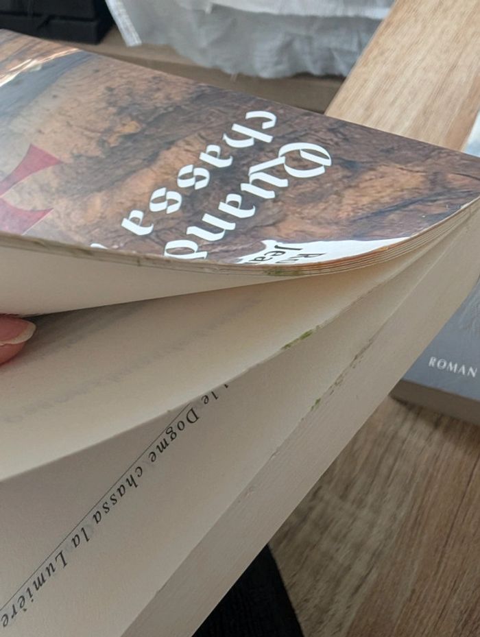Lot livres Quand le Dogme chassa la Lumière - photo numéro 6