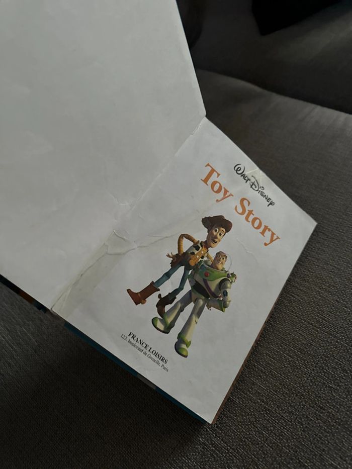 Livre toy story - photo numéro 4