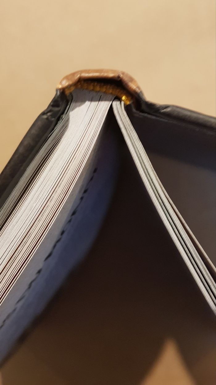 Livre du Spinjutzu - Ninjago - photo numéro 7