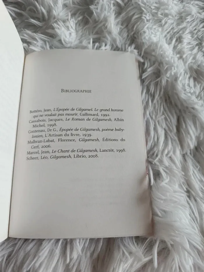 Livre L'épopée de Gilgamesh en 8 récits _ dès 11 ans _ Flammarion Jeunesse _ Jean Muzi - photo numéro 9