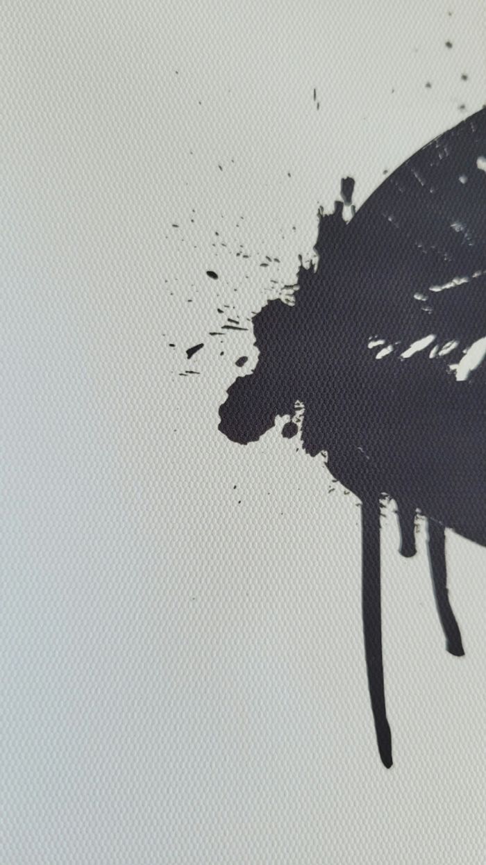 Lot d'affiches. - photo numéro 4