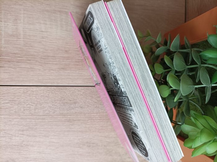 Lot 2 mangas Maid Sama numéro 1 et 2 pika - photo numéro 5