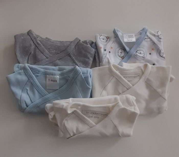 Bodies