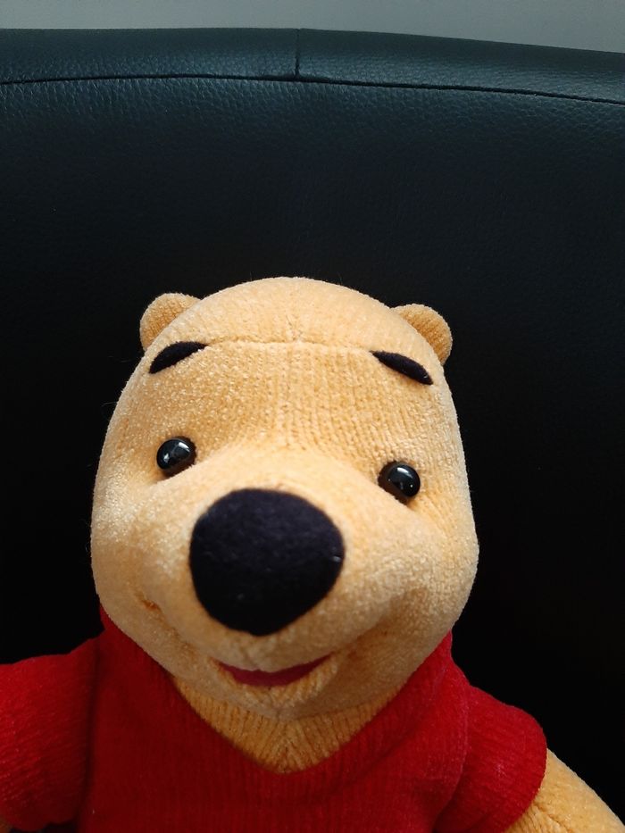 Peluche Winnie l'ourson sonore vintage - photo numéro 5