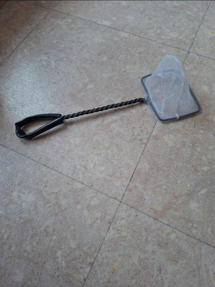 Épuisette pour poisson