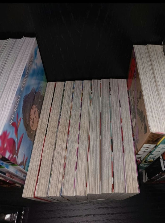Manga Blue exorciste tome 1 à 9 - photo numéro 3