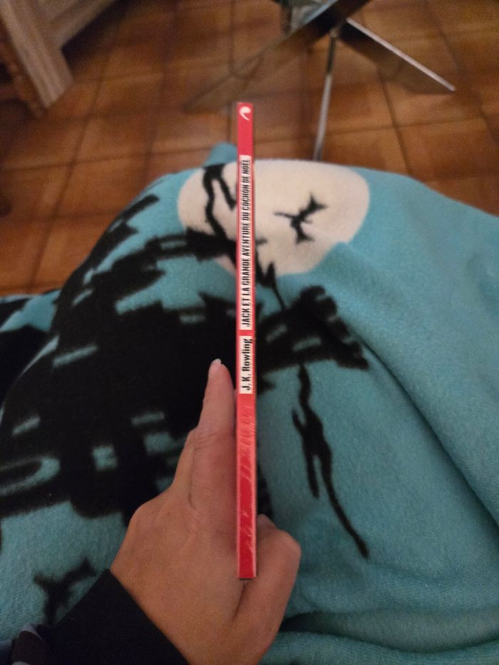 Jack et la grande aventure du cochon de Noël - photo numéro 4