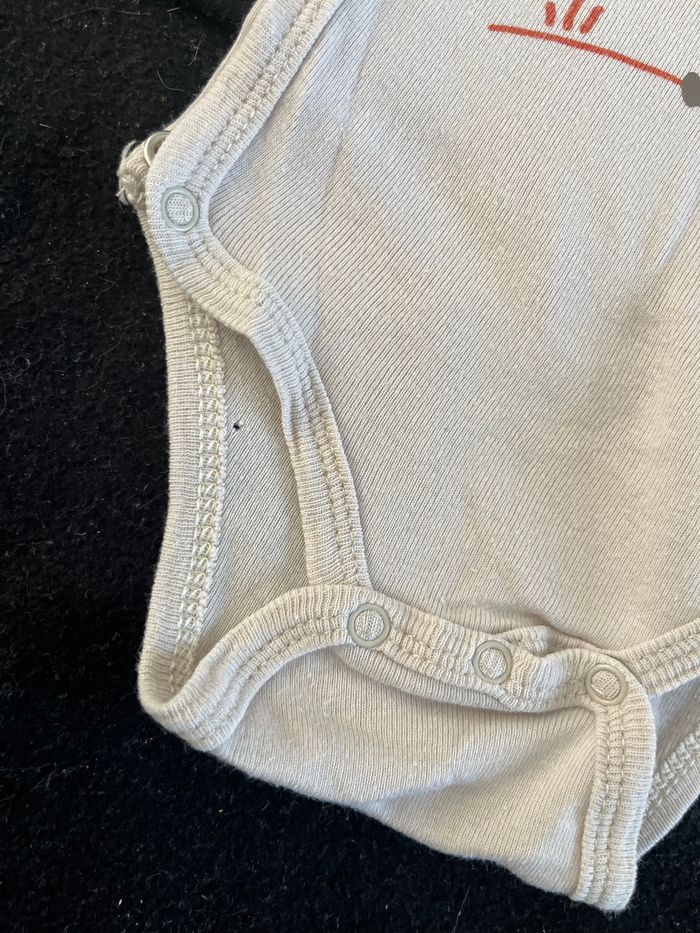 Bodie 3 mois - photo numéro 3