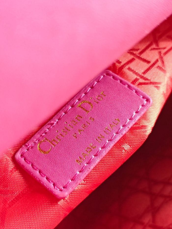 dior - photo numéro 8