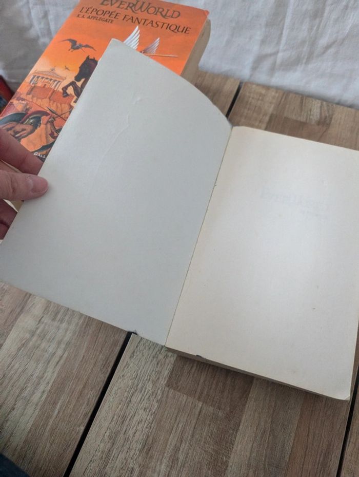 Lot livres Everworld - photo numéro 8