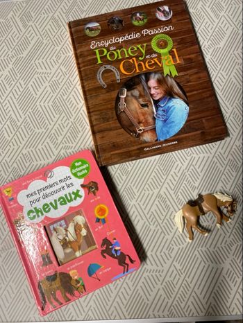 Lot livre équitation 