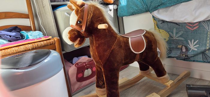 Cheval a bascule - photo numéro 2