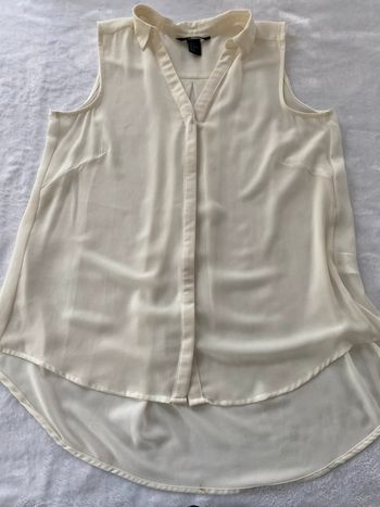 Chemisier transparent T.36