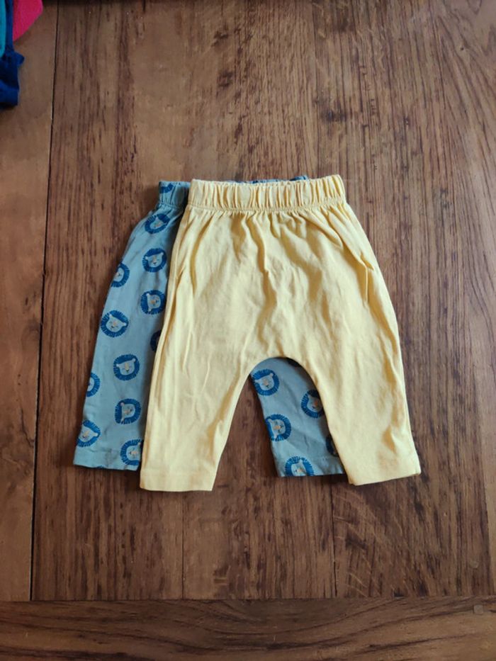 Lot legging fin
