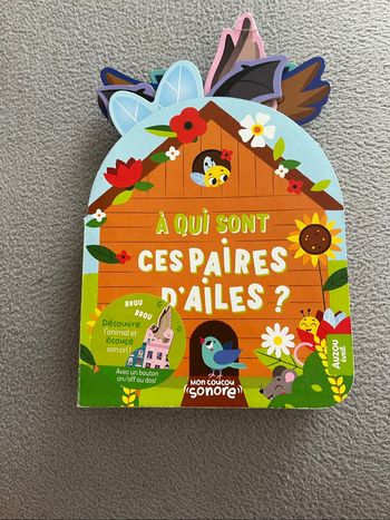 À qui sont ces paires d’ailes