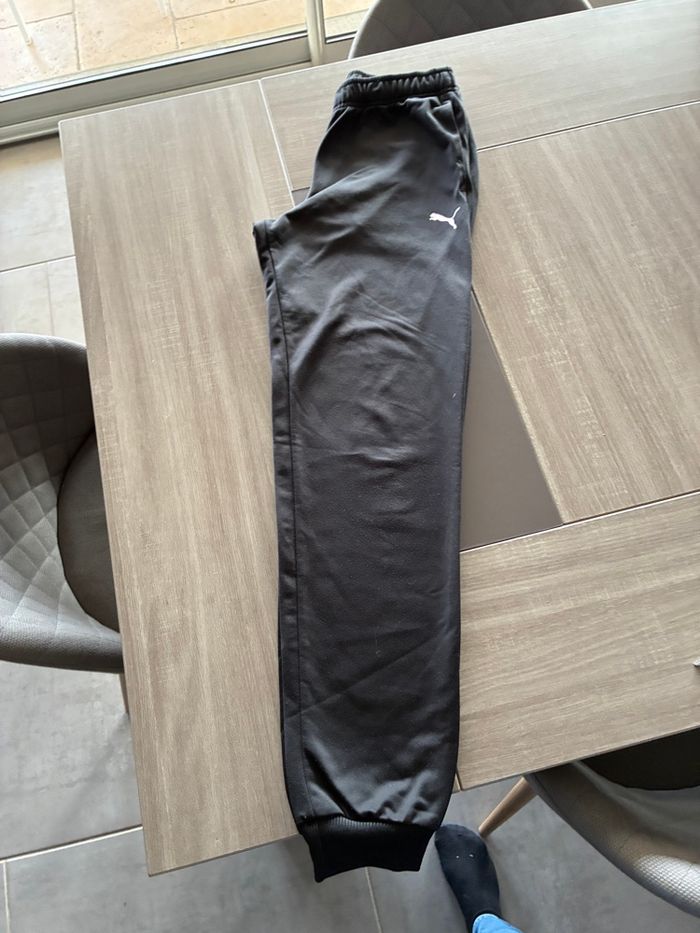 Ensemble puma - photo numéro 5