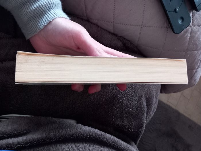 L'immeuble Yacoubian - Alaa El Aswany - photo numéro 4