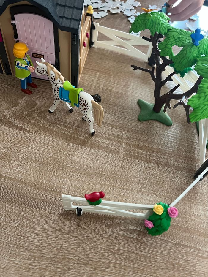 Playmobil 70995 Carrière d'entrainement - Country - Le Poney Club - photo numéro 3