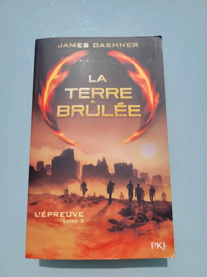 4 Premier romans grands formats de la saga Le Labyrinthe : Livres 1, 2, 3 et 4 - photo numéro 10